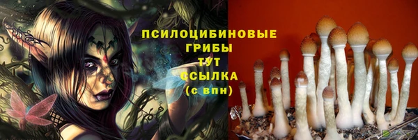 спиды Нея