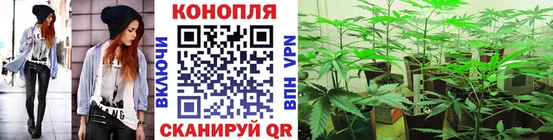 Бошки Шишки MAZAR MEGA зеркало Фрязино